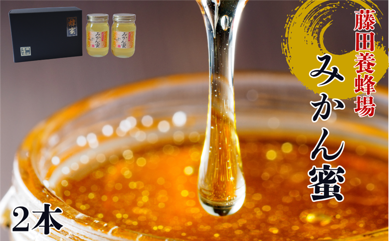 はちみつ みかん蜜 2本 柑橘 みかん 純粋はちみつ 愛媛県産 藤田養蜂場 伊予市｜B250