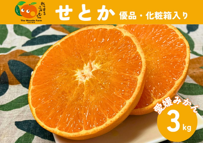 せとか 3kg 優品 12～15個 先行予約 レッスルファーム みかん 愛媛 数量限定 お取り寄せ おすすめ 美味しい おいしい グルメ フルーツ くだもの 愛媛県産 人気 柑橘 伊予市｜B258