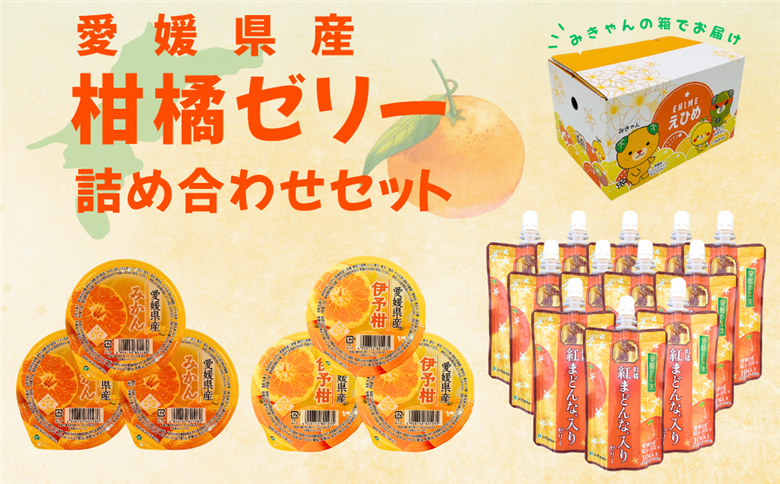 みかん 愛媛 柑橘ゼリー詰合せセット（紅まどんな、みかん、伊予柑）3種18個入り 愛媛の果実 ゼリー飲料 飲むゼリー 人気 数量限定 柑橘 お菓子 デザート フルーツ ギフト プレゼント おすすめ 伊予市｜B261
