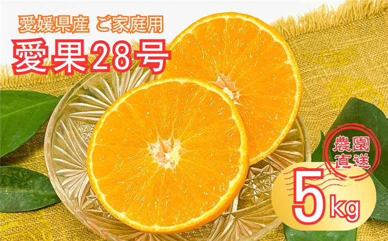愛果28号 5kg 紅まどんな同一品種 バラ詰め ご家庭用 サイズミックス 農園直送 先行予約 12月発送 愛媛 数量限定 愛媛県産 人気 柑橘 伊予市｜B274