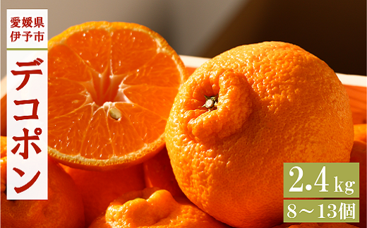 デコポン 2.4kg みかん 愛媛 【2026年3月上旬から順次発送予定】 人気 数量限定 先行予約 柑橘 伊予市｜B32