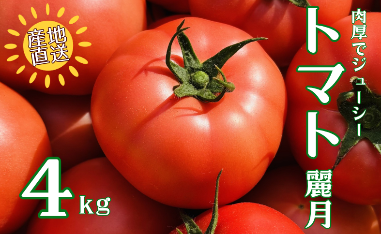 トマト 4kg 20玉～28玉 麗月 産地直送 野菜 新鮮 サラダ 赤熟 くぼなか農園 愛媛 伊予市 | B362