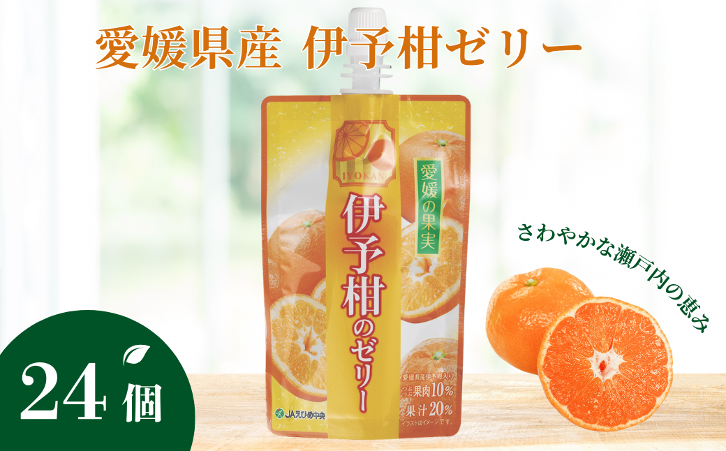 ゼリー飲料 ゼリー 飲むゼリー 伊予柑 150g×6個×4箱 JAえひめ 愛媛の果実伊予柑のゼリー (E-5) ｜ B364