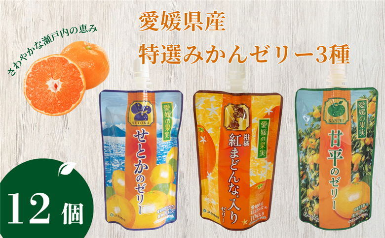 ゼリー飲料 ゼリー 飲むゼリー 愛媛 みかん 150g×12個 3種 JAえひめ 愛媛の果実 特選柑橘詰合せ (E-50) | B369