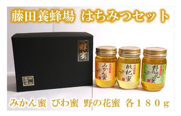 はちみつ食べ比べセット（びわ蜜・みかん蜜・野の花）【2026年1月末以降発送】はちみつ 藤田養蜂場 ハチミツ 蜂蜜 ｜B37