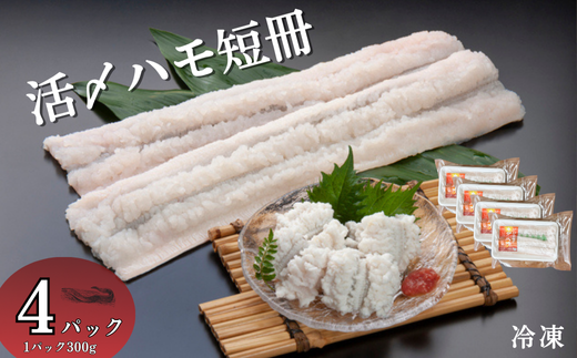 活〆鱧短冊300g×4 冷凍 鱧 ハモ 鱧短冊 北風鮮魚 愛媛県 伊予市｜B397