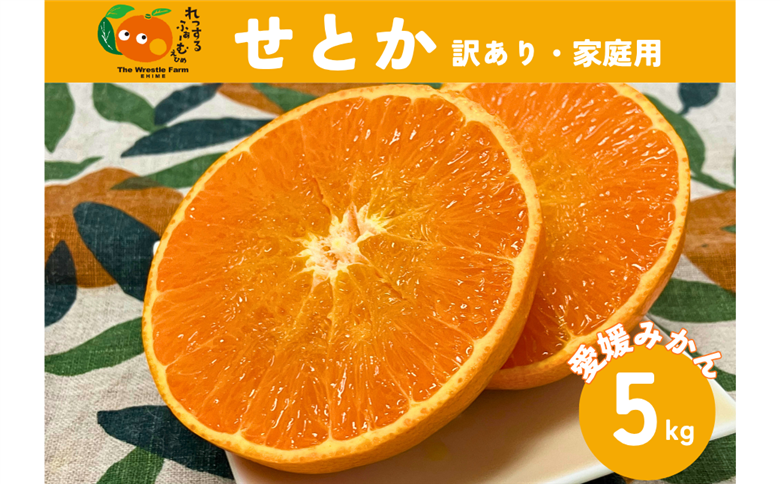 せとか（施設・露地）5kg ご家庭用 訳あり レッスルファーム みかん 愛媛【2026年1月下旬順次発送】先行予約 数量限定 おすすめ 美味しい おいしい グルメ フルーツ くだもの 愛媛県産 人気 柑橘 伊予市｜B420