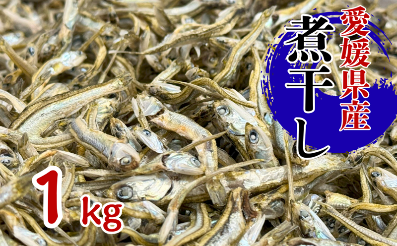 伊予煮干 いりこ 1kg 【10月以降発送】 伊予灘産 瀬戸内海 出汁 料理 おやつ カルシウム 健康 サクサク食感 海の幸 海産物 乾物 魚介類 おつまみ 保存食 特産品 愛媛 伊予市｜B421