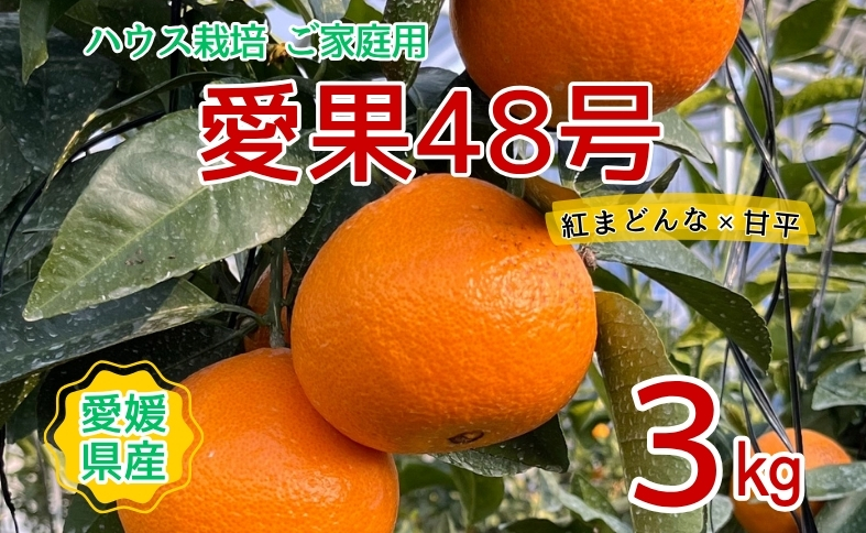 【2026年3月発送予定】訳あり 愛果48号 3kgご家庭用 農園直送 みかん 愛媛 人気 数量限定 先行予約 柑橘 伊予市｜B444