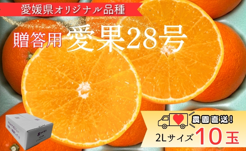 みかん 愛果28号 2Lサイズ 10玉 贈答用 紅まどんなと同一品種 農園直送 先行予約 【11月中旬から順次発送予定】 愛媛 数量限定 愛媛県産 人気 柑橘 伊予市｜ B532