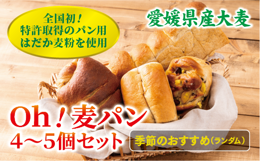 パン 無添加 老舗 4～5個セット ブレッド おまかせ ランダム 詰め合わせ ブランド認定 学校給食 朝食 朝ごはん 季節 おすすめ はだか麦 国産小麦 国産素材 おやつ こだわり 食物繊維豊富 安心 安全 篠崎ベーカリー 愛媛 伊予市 ｜B66