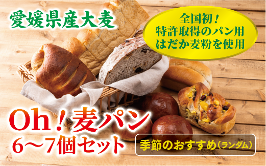 パン 無添加 老舗 6～7個セット ブレッド おまかせ ランダム 詰め合わせ ブランド認定 学校給食 朝食 朝ごはん 季節 おすすめ はだか麦 国産小麦 国産素材 おやつ こだわり 食物繊維豊富 安心 安全 篠崎ベーカリー 愛媛 伊予市 ｜B67