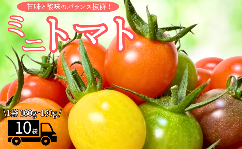 ミニトマト 160g?180g×10袋 カラートマト 【2025年12月上旬から順次発送予定】 食べくらべ 農園直送 完熟 愛媛 人気 伊予市｜B81
