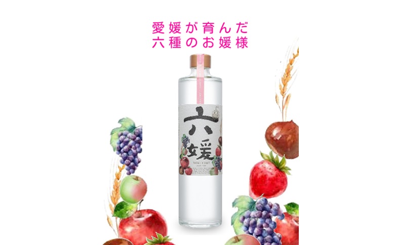 道後ジン 六媛　クラフトジン　スピリッツ　愛媛県産　ボタニカル　500ml｜C02