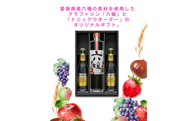 道後ジン　六媛・トニックセット（G6-500）クラフトジン　トニックウォーター　愛媛県産　ボタニカル｜C03