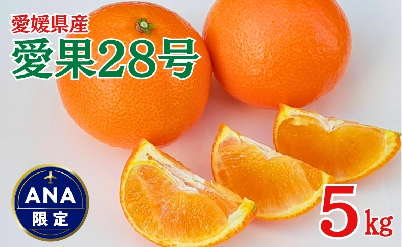 みかん 愛媛 愛果28号 紅まどんなと同一品種 5kg 家庭用 人気 数量限定 先行予約 柑橘 伊予市【2025年11月下旬以降順次発送】 | C120