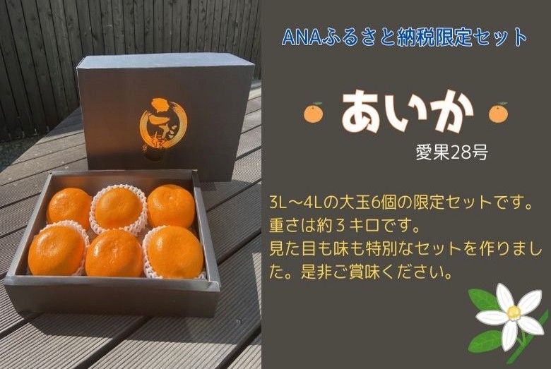 みかん 愛媛 愛果28号 紅まどんなと同一品種 約3kg 5～6玉（3L～4Lサイズ） 贈答用 化粧箱入り 【2025年12月以降発送】 先行予約 数量限定 愛媛県産 人気 柑橘 伊予市｜C122