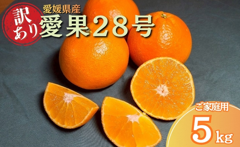みかん 訳あり 愛果28号 紅まどんなと同一品種 5kg サイズミックス ご家庭用 【2025年12月から順次発送予定】 愛媛 人気 数量限定 先行予約 柑橘 伊予侍ファーム 伊予市｜C137