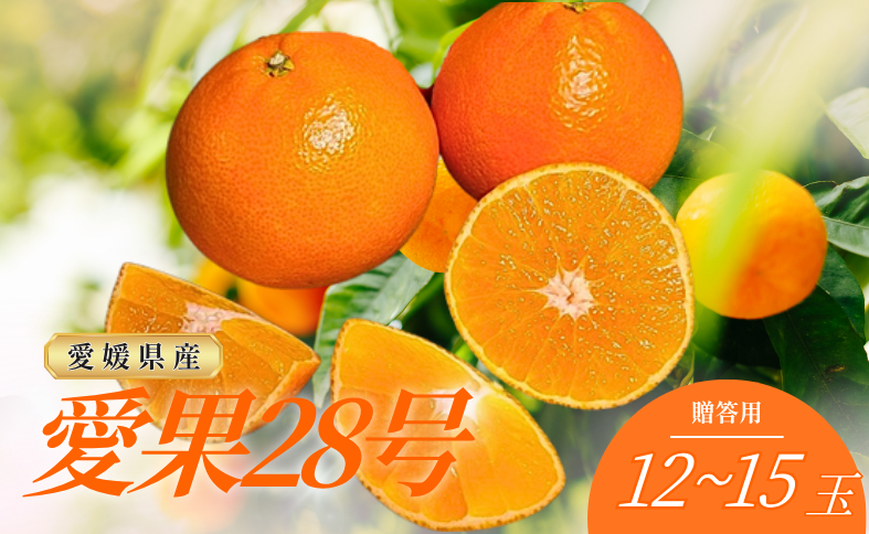 みかん 愛果28号 12～15玉（L～2L）紅まどんな 同品種 化粧箱入り 愛媛みかん ミカン 蜜柑 果物 くだもの フルーツ 柑橘 かんきつ 愛媛果試第28号 紅マドンナ まどんな マドンナ ギフト 贈り物 贈答用 おすすめ 人気 お取り寄せ 国産 愛媛 伊予市 伊予侍ファーム 【先行予約】 【数量限定】 【2025年12月から順次発送】｜C138