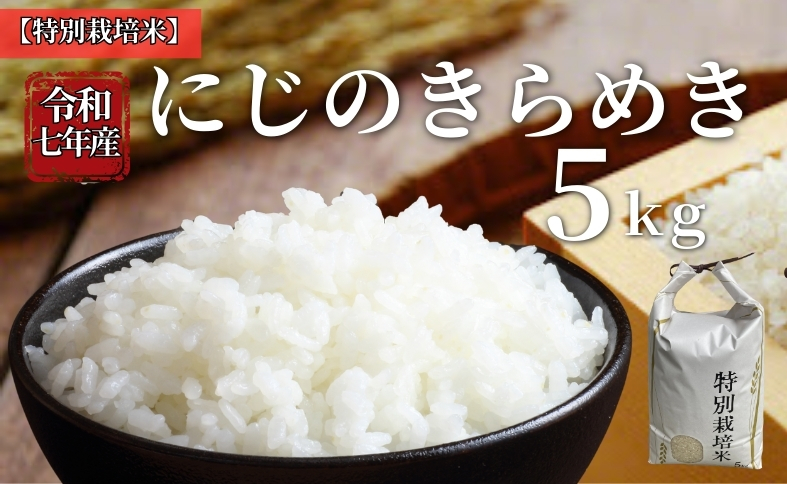 お米 令和7年産 5kg にじのきらめき 特別栽培米  先行予約  【2025年10月以降発送】 精米 米 こめ コメ 白米 ごはん ライス 愛媛 伊予市｜C148