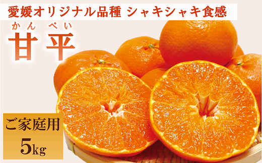 みかん 愛媛 甘平（約5kg）家庭用 L～３Lサイズ 人気 数量限定 先行予約 柑橘 伊予市｜C51
