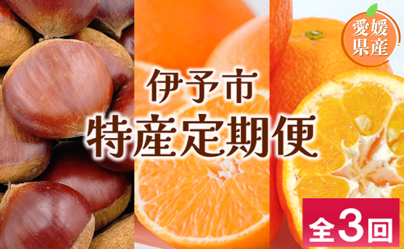 伊予市 特産定期便 全3回 中山栗・紅まどんな・伊予柑｜D48