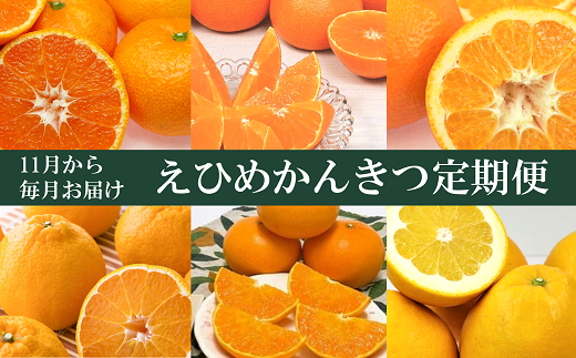 えひめかんきつ定期便（全６回）柑橘 紅まどんな 日の丸みかん 伊予柑 デコポン せとか 河内晩柑  | F01