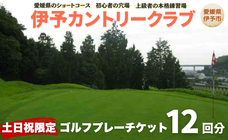 ゴルフ場 利用券 土日祝日限定 ゴルフプレーチケット 12回分 周り放題 伊予カントリークラブ 愛媛 伊予市｜F20