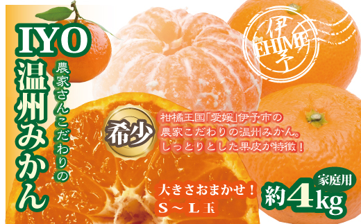 みかん 愛媛 早生みかん 約4kg 人気 数量限定 柑橘 伊予市｜B173