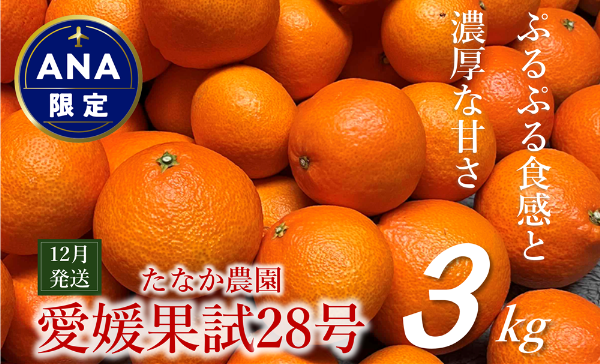 [ANA限定]愛果28号 3kg ご家庭用 農園直送 先行予約 12月発送 愛媛 数量限定 愛媛県産 人気 柑橘 伊予市|