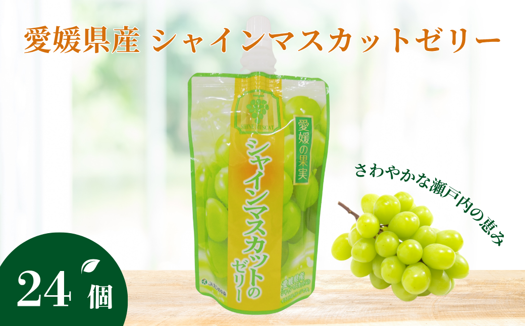 ゼリー飲料 ゼリー 飲むゼリー シャインマスカット 150g×6個×4箱 JAえひめ  愛媛の果実シャインマスカットのゼリー (E-9) ｜ B368