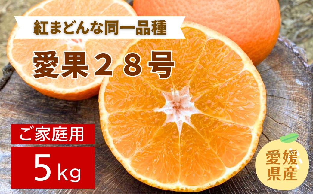 みかん 愛媛 愛果28号 5kg ご家庭用 2L〜4L 大玉 紅まどんなと同一品種 人気 数量限定 先行予約 柑橘 伊予市 【2025年11月下旬から順次発送予定】｜B83
