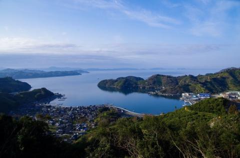 愛媛県明浜産　天晴兄妹みかんジュース（ぽんかん・はるか・デコぽよ） 3種類セット