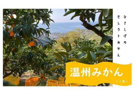 ひさしげ農園　西宇和産セレクトみかんセット