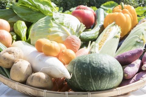 せいよ旬の野菜・果物・宇和米5kg詰合せセット