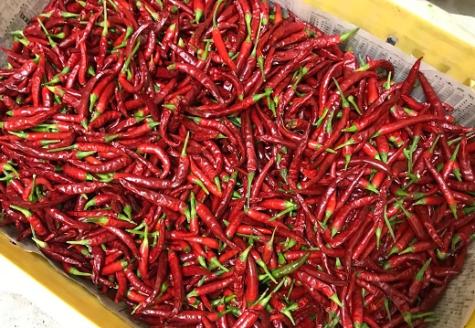 愛媛県産　野菜・柑橘を使ったベジソルト（９種セット）