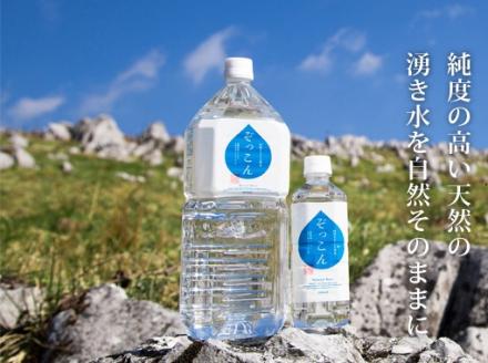 四国カルスト天然水ぞっこん（ガロンボトル12L×2本）