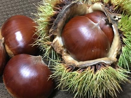 ＜栗 約２kg（2Lまたは3Lサイズ）愛媛県西予市産＞ クリ くり マロン 秋の味覚 愛媛県 西予市