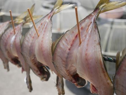 魚屋こだわりの活アジ開き