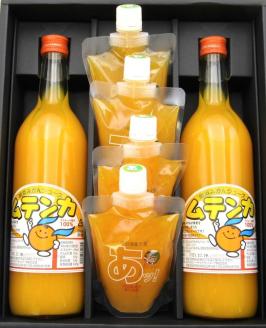 むてじゅれセット