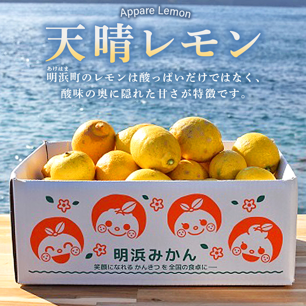＜天晴レモン ご家庭用 約5kg＞ フルーツ 果物 くだもの レモン れもん 檸檬 柑橘 訳あり わけあり ワケアリ 自宅用 料理 国産 国産レモン 愛媛県産 特産品 株式会社笑丸 愛媛県 西予市