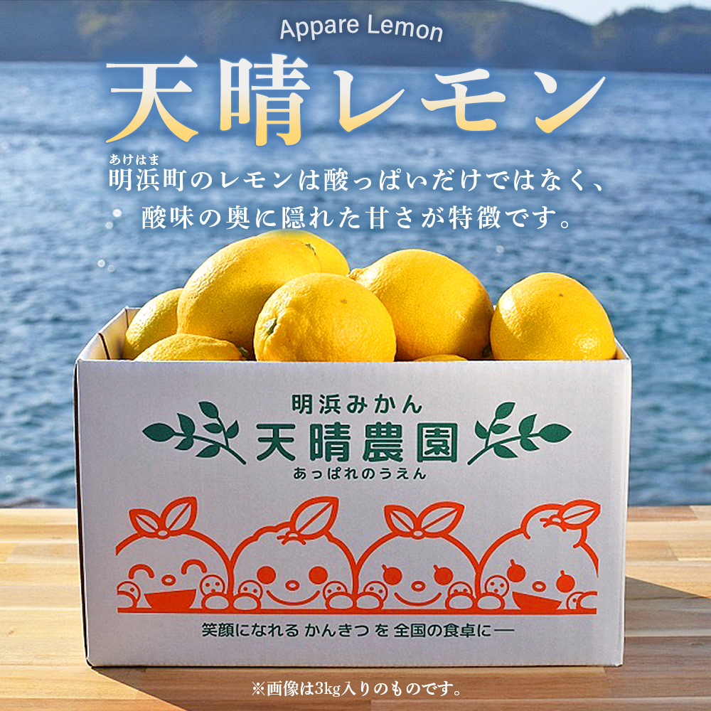 ＜天晴レモン 贈答用 約3kg＞ フルーツ 果物 くだもの レモン れもん 檸檬 柑橘 プレゼント 贈り物 お返し お礼 ギフト アレンジ 料理 国産 国産レモン 愛媛県産 特産品 株式会社笑丸 愛媛県 西予市
