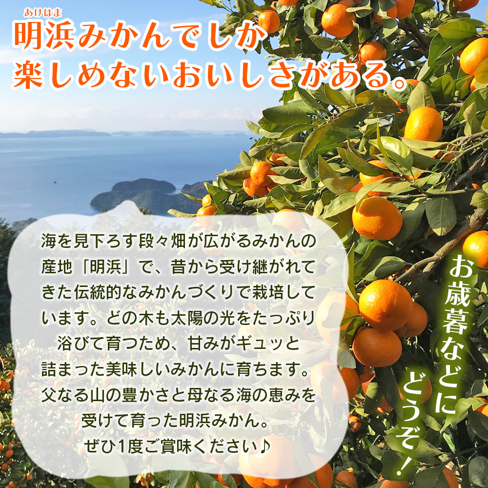 ＜みかん（南柑20号）贈答用 約5kg＞ 果物 くだもの フルーツ ミカン 柑橘 温州みかん うんしゅうみかん 贈答 ギフト プレゼント 特産品 株式会社笑丸 愛媛県 西予市 約５kg（寄付額13,000円）