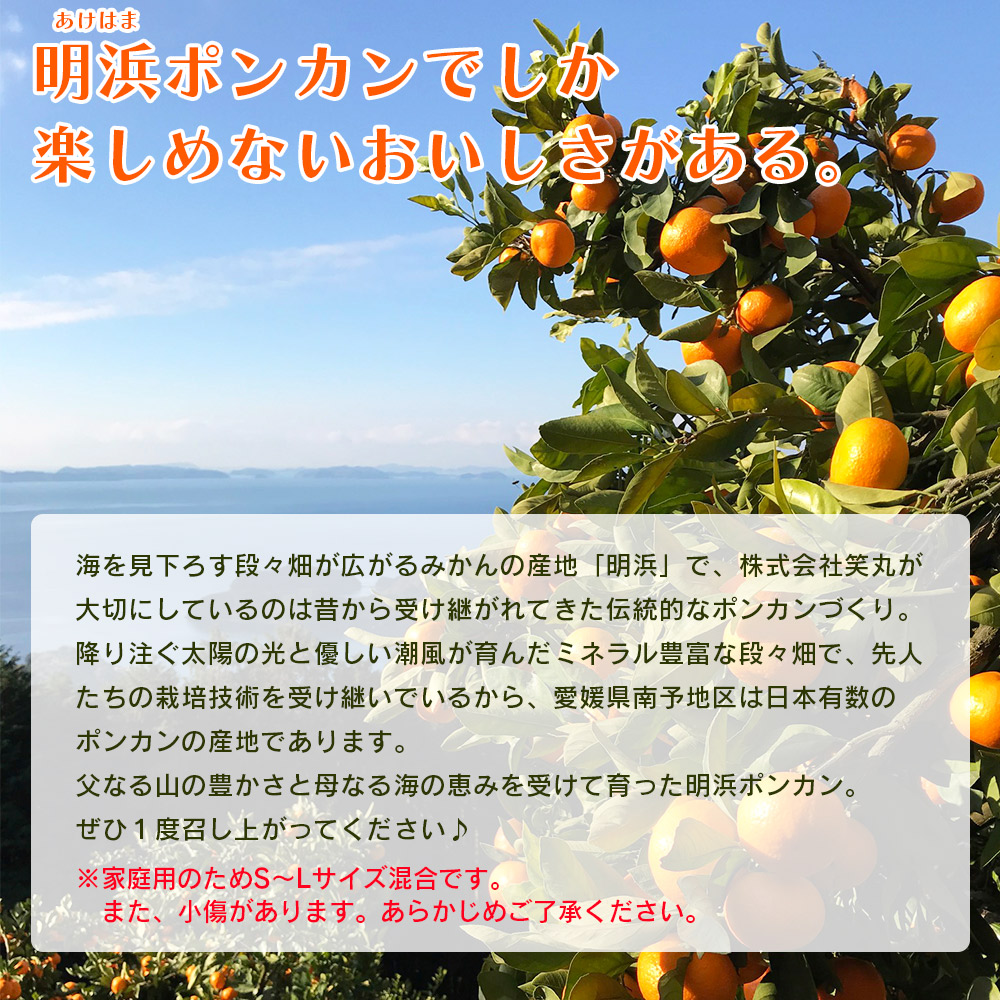 ＜太田ポンカン 家庭用 約15kg＞ 果物 くだもの フルーツ みかん ミカン 柑橘 太田ぽんかん おおたぽんかん オオタポンカン ぽんかん 訳あり ご自宅用 特産品 株式会社笑丸 愛媛県 西予市 約15kg（寄附額27,000円）