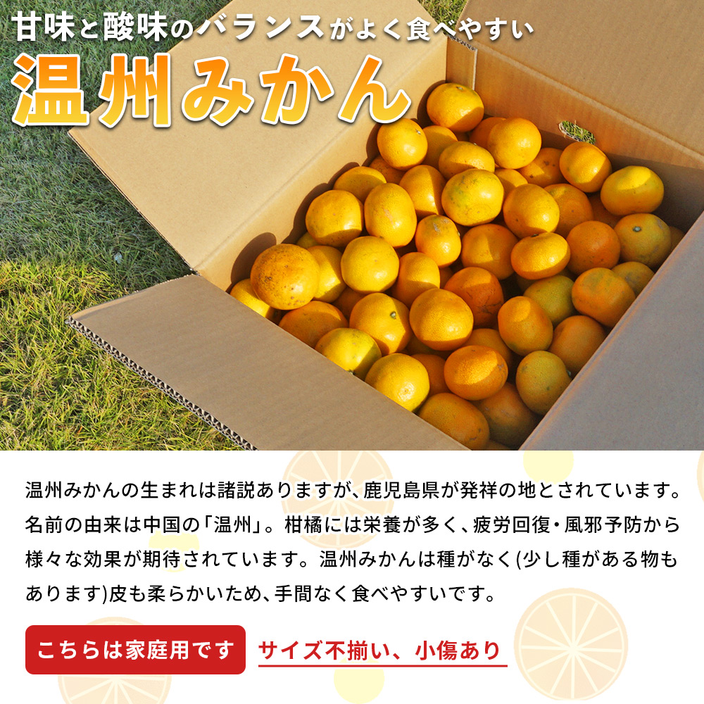＜愛媛県西予市産 温州みかん 家庭用 約5kg＞ 果物 くだもの うんしゅうみかん ウンシュウミカン ミカン 蜜柑 柑橘 フルーツ 自宅用 訳あり 旬 特産品 産地直送 段畑みかん株式会社 愛媛県 西予市 約５kg（寄附額7,000円）