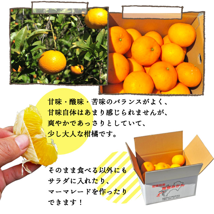 ＜愛媛県西予市産 甘夏 約8kg 家庭用＞ 果物 くだもの ミカン 柑橘 フルーツ あまなつ 訳あり ワケアリ 自宅用 産地直送 特産品 段畑みかん株式会社 愛媛県 西予市