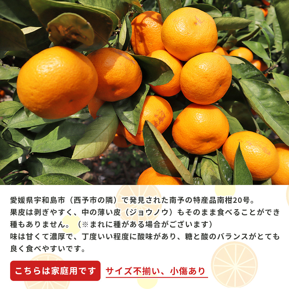 ＜愛媛県西予市産 温州みかん（南柑20号）家庭用 約3kg（サイズ不揃い・小傷あり）＞ 訳あり 果物 くだもの ミカン 柑橘 フルーツ 段畑みかん株式会社 愛媛県 西予市 約３kg（寄附額5,000円）