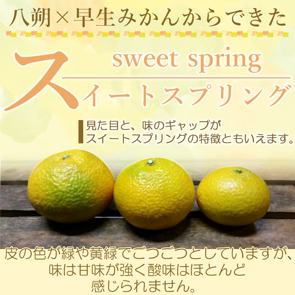 ＜愛媛県西予市産 スイートスプリング 家庭用 約4kg＞ 訳あり ワケアリ すいーとすぷりんぐ 果物 くだもの みかん ミカン 柑橘 甘い フルーツ 果実 特産品 産地直送 段畑みかん株式会社 愛媛県 西予市 約４kg（寄附額8,000円）