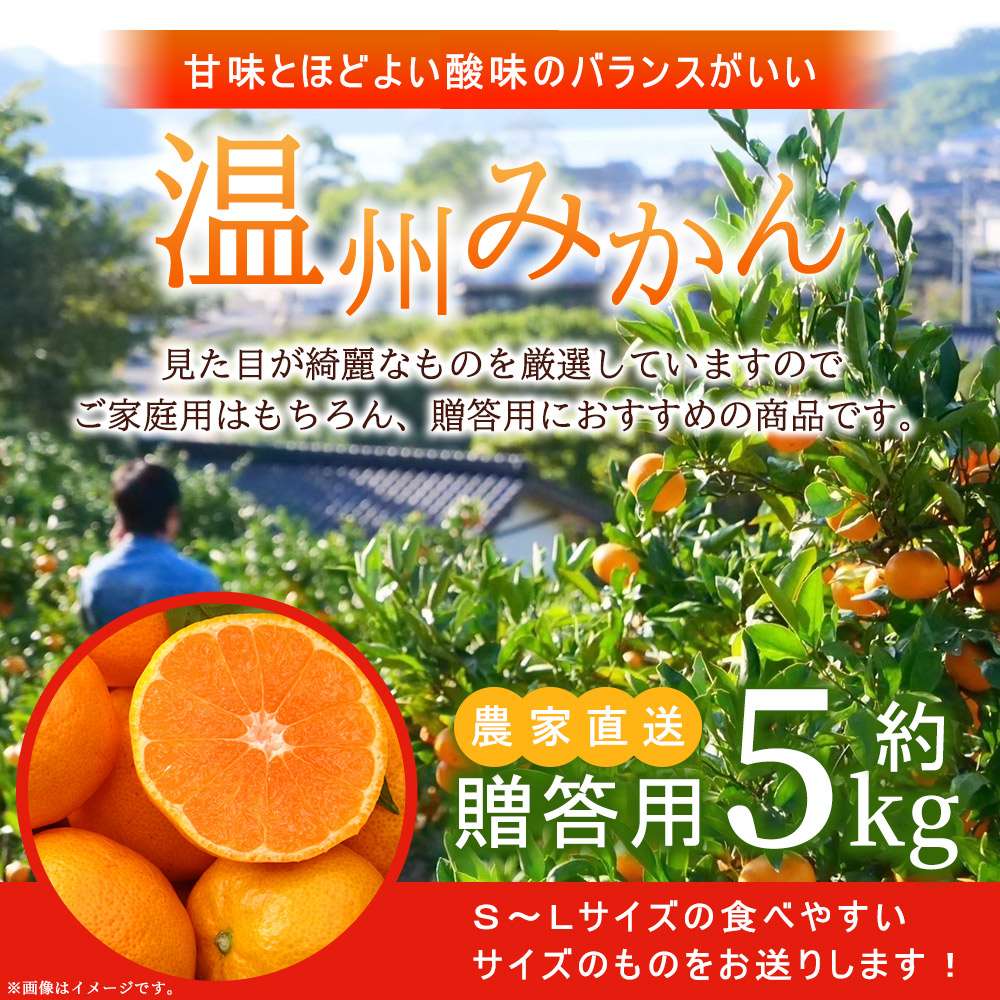 温州みかん 約5kg 贈答用
