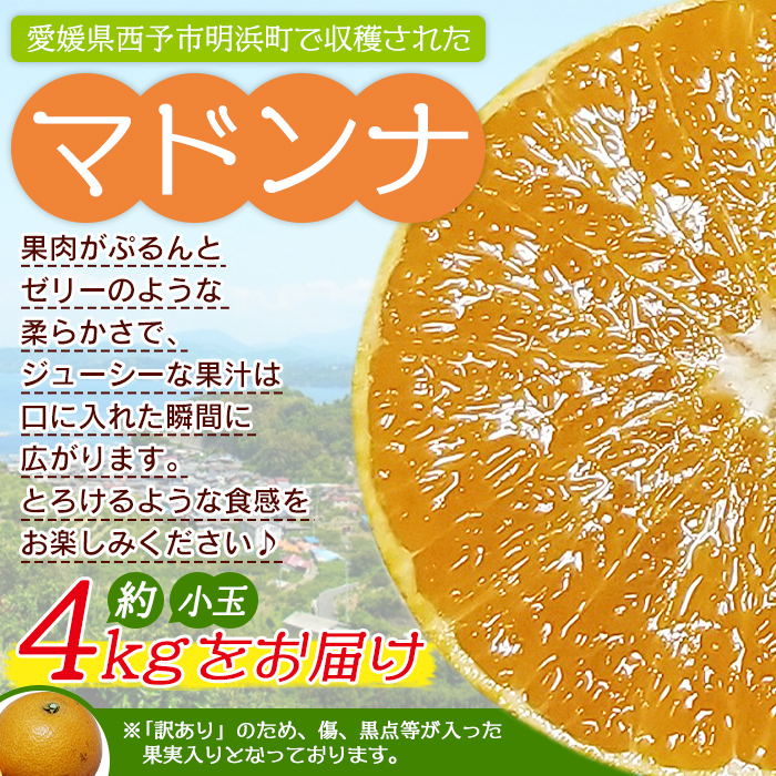 訳あり マドンナ 約4kg（小玉）